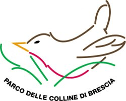 parco_delle_colline